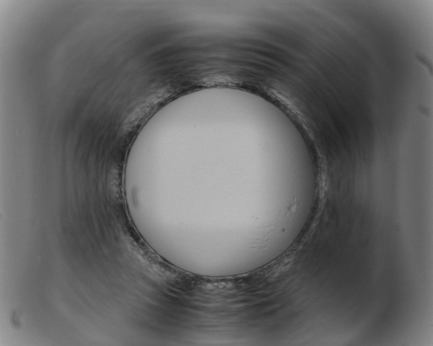 X0000103940353200809191153