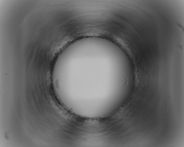 X0000103940354200809191153