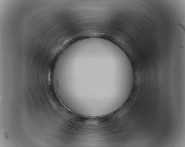 X0000103940358200809191153