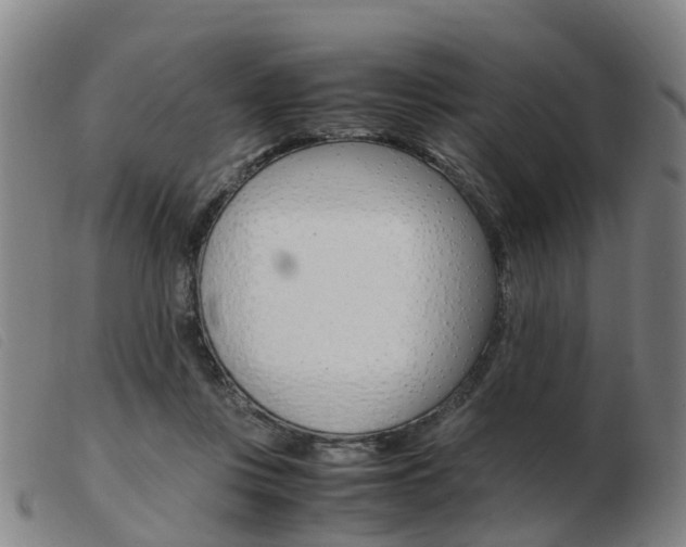 X0000103940359200809191153
