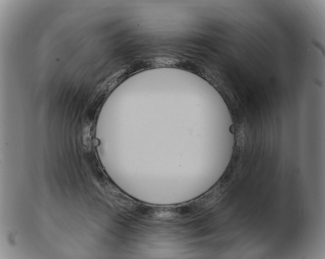 X0000103940360200809191153