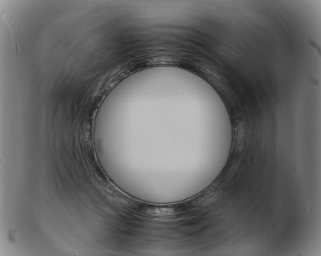 X0000103940361200809191153
