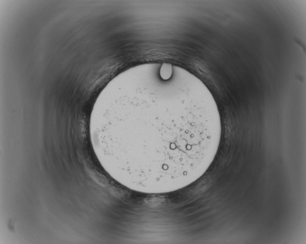 X0000103940362200809191153