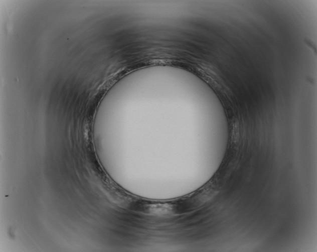 X0000103940363200809191153