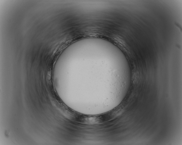 X0000103940365200809191153