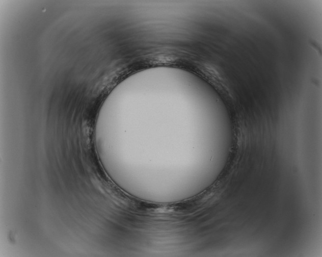 X0000103940366200809191153