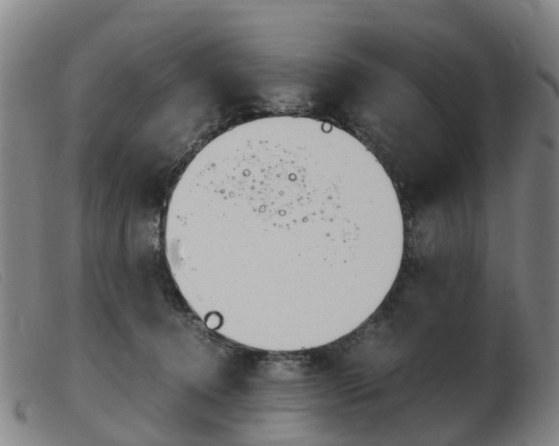X0000103940368200809191153
