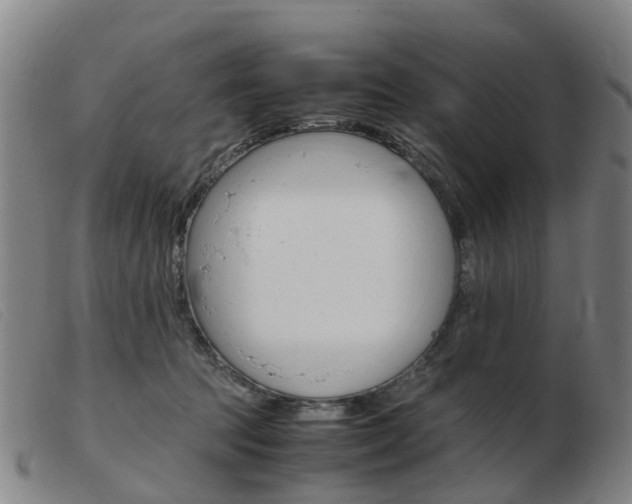 X0000103940369200809191153