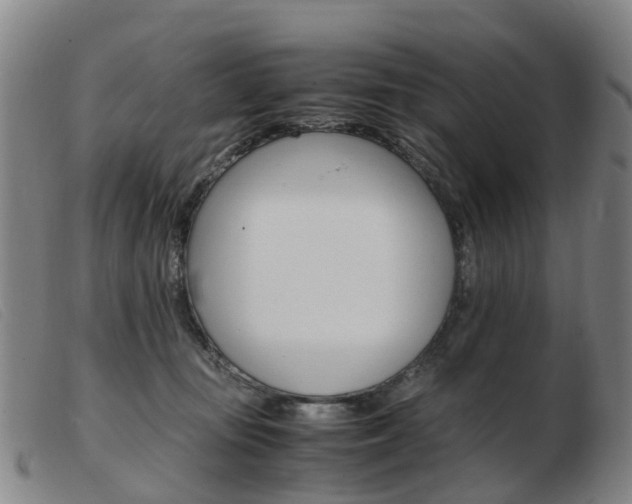 X0000103940371200809191153