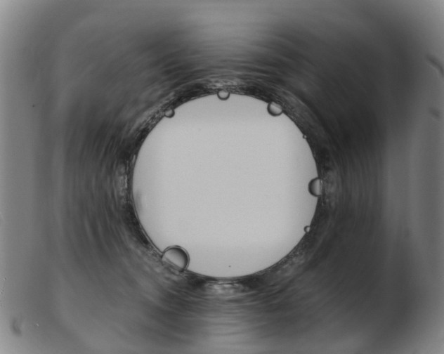 X0000103940372200809191153