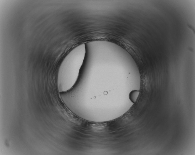 X0000103940373200809191153