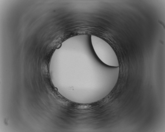 X0000103940375200809191153
