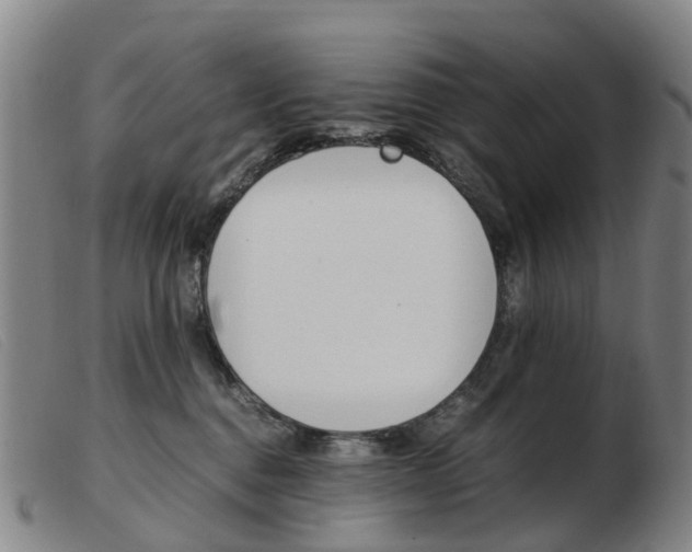 X0000103940376200809191153