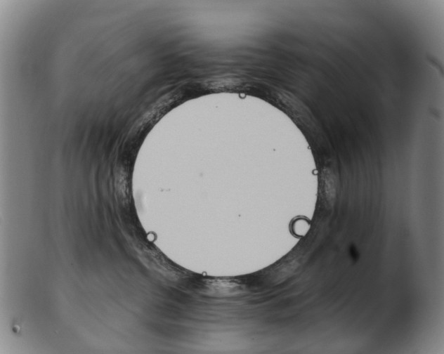 X0000103940380200809191153