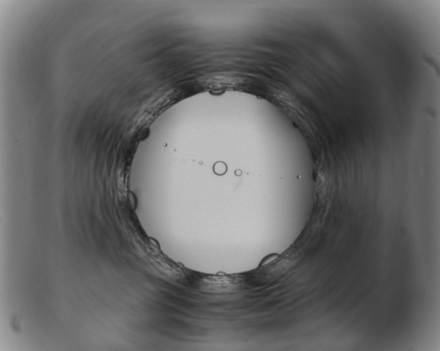 X0000103940381200809191153