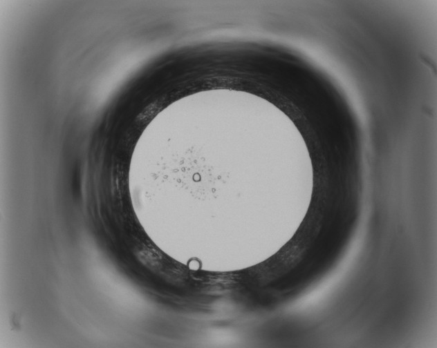 X0000103940382200809191153