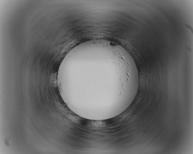 X0000103940383200809191153