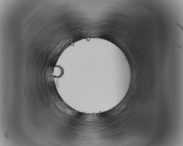 X0000103940384200809191153