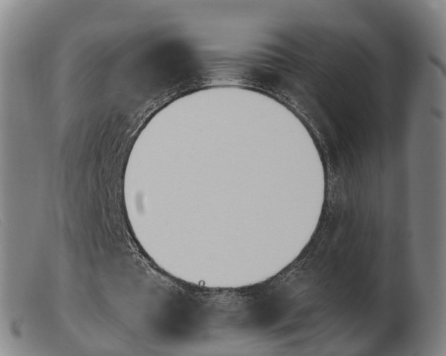 X0000103940385200809191152