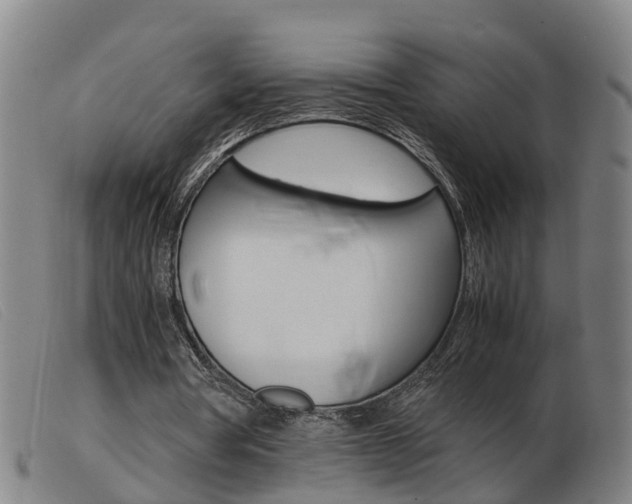 X0000103940386200809191152
