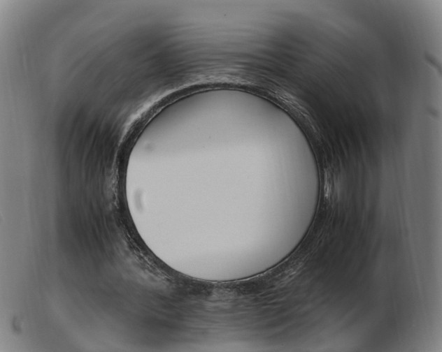 X0000103940388200809191152