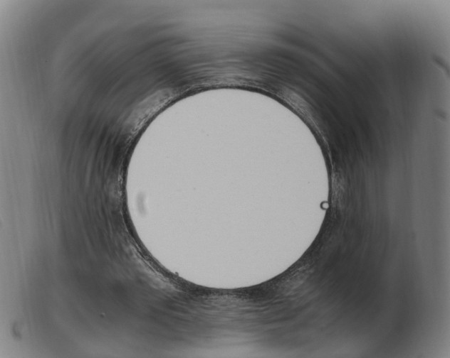 X0000103940389200809191152