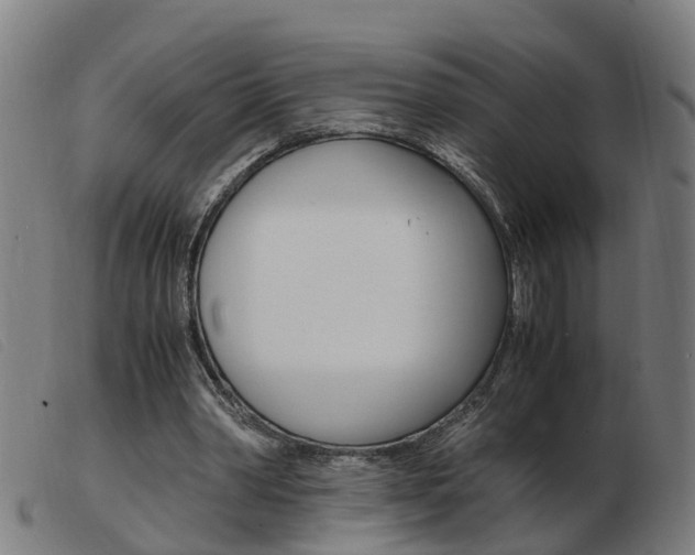 X0000103940390200809191152