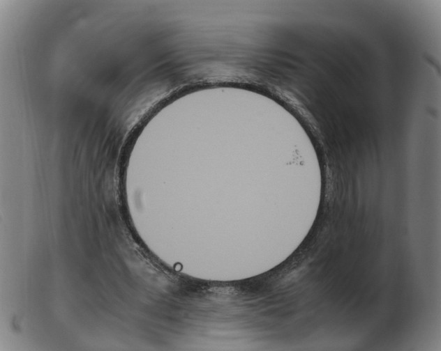 X0000103940391200809191152