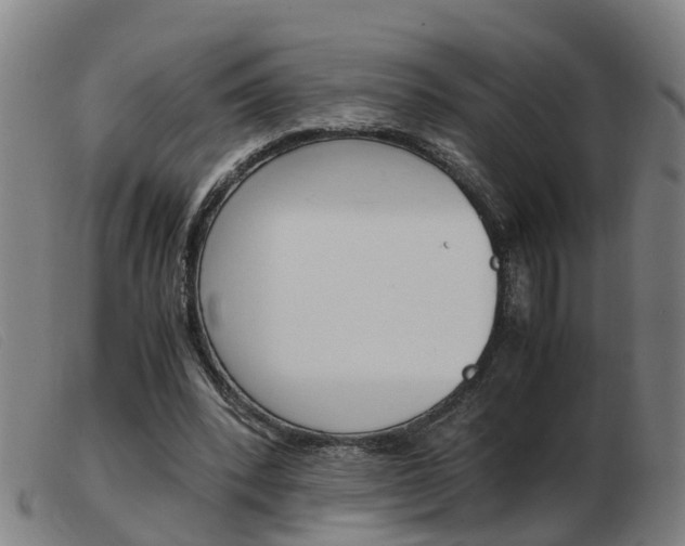 X0000103940392200809191152