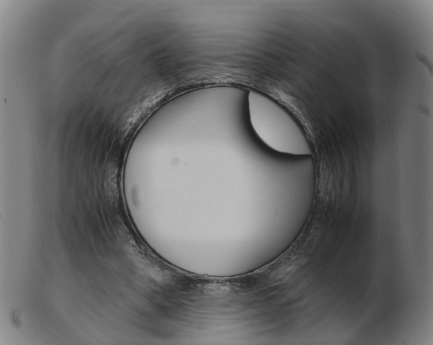 X0000103940394200809191152