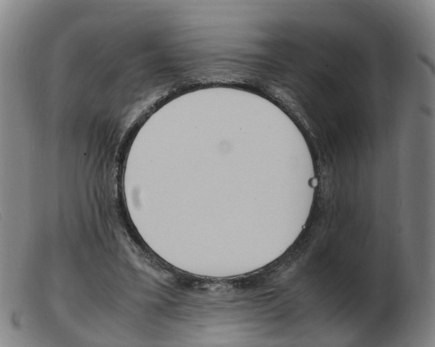 X0000103940395200809191152