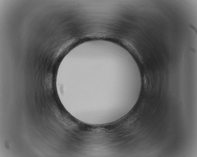 X0000103940396200809191152
