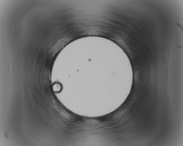 X0000103940397200809191152