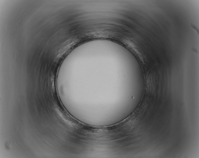 X0000103940398200809191152