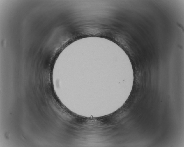 X0000103940399200809191152