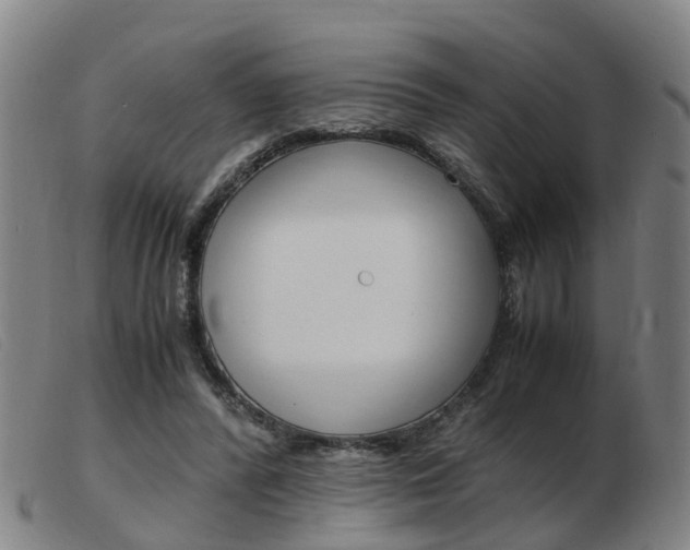 X0000103940400200809191152