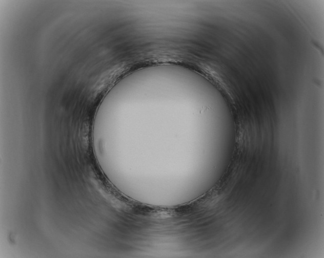 X0000103940402200809191152