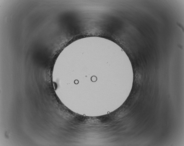 X0000103940403200809191152