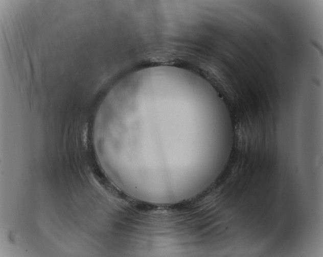 X0000103940404200809191152