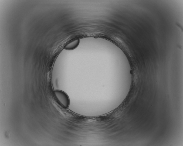 X0000103940405200809191152