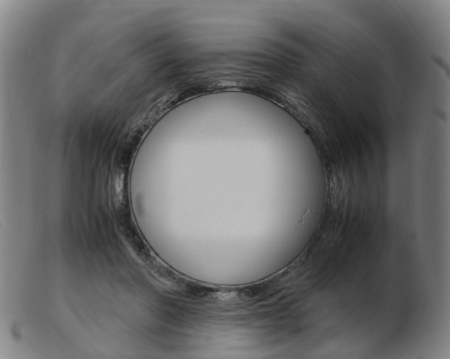 X0000103940406200809191152
