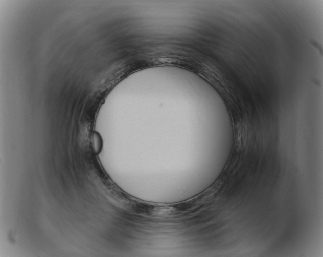 X0000103940410200809191152