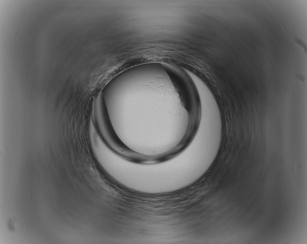 X0000103940411200809191152