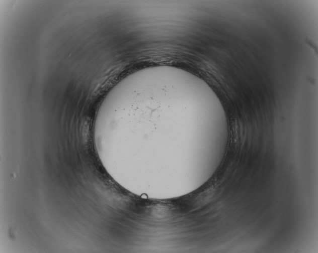 X0000103940412200809191152