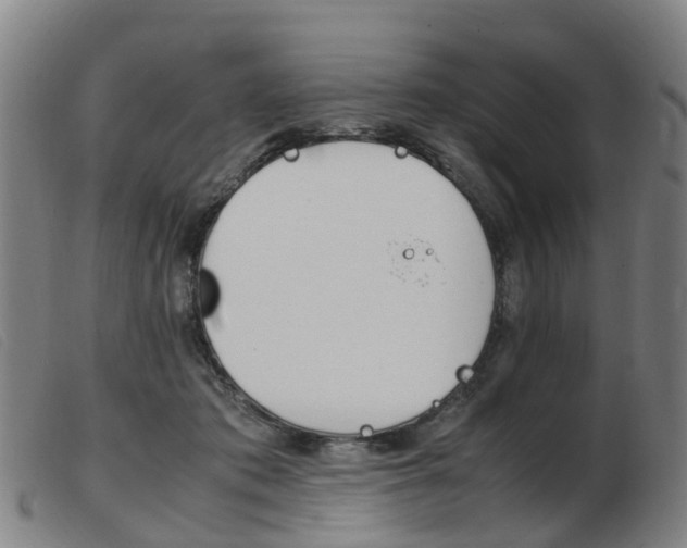 X0000103940413200809191152