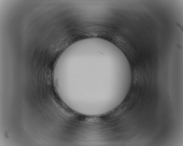 X0000103940414200809191152