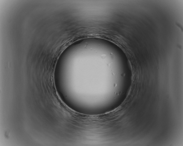 X0000103940415200809191152