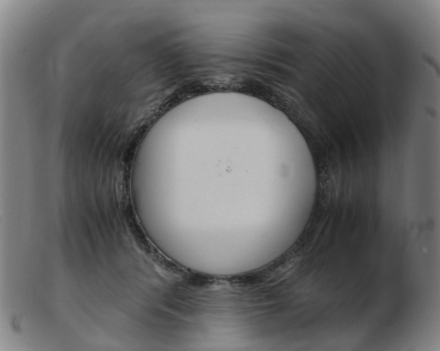 X0000103940416200809191152
