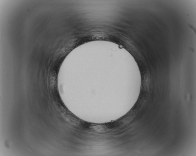 X0000103940417200809191152