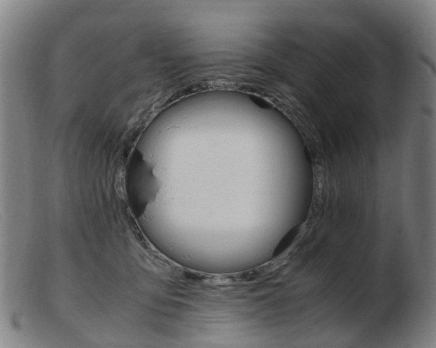 X0000103940419200809191152
